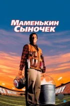 Маменькин сыночек / The Waterboy (1998) BDRip