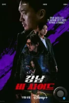 Обратная сторона Каннама / Gangnam bi-saideu (2024) WEB-DL
