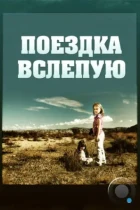 Поездка вслепую / Driving by Braille (2011) WEB-DL
