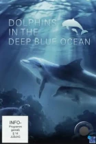 Дельфины в океанской синеве / Dolphins in the Deep Blue Ocean (2009) BDRip