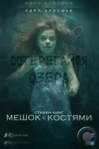 Мешок с костями / Bag of Bones (2011) WEB-DL