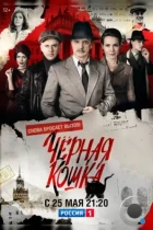 Черная кошка (2016) BDRip