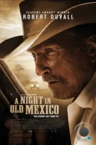 Ночь в старой Мексике / A Night in Old Mexico (2013) L1 BDRip