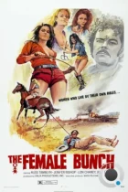 Женская компания / The Female Bunch (1971) L1 BDRip