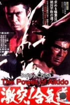 Сила Айкидо / Gekitotsu! Aikido (1975) BDRip