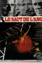 Смертельное поручение / Le saut de l'ange (1971) L1 WEB-DL