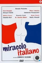 Итальянское чудо / Miracolo italiano (1994) A DVDRip