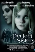 Школьный проект / Perfect Sisters (2013) L2 HDRip