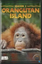 Остров орангутанов / Orangutan Island (2007) iptv