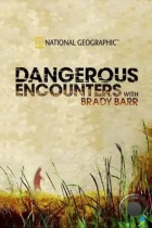 Опасные встречи / Dangerous Encounters (2005) HDTV