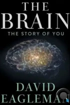 Мозг с Дэвидом Иглменом / The Brain with Dr. David Eagleman (2015) L1 WEB-DL