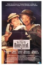 Поездка в Баунтифул / The Trip to Bountiful (1985) BDRip