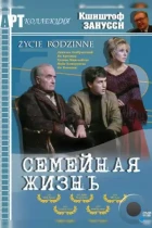 Семейная жизнь / Zycie rodzinne (1971) BDRip