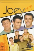 Джоуи / Joey (2004) SATRip