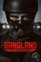 Под прикрытием / Gangland Undercover (2015) WEB-DL