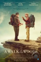 Прогулка по лесам / A Walk in the Woods (2015) BDRip