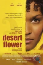 Цветок пустыни / Desert Flower (2009) BDRip