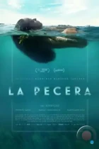 Аквариум / La Pecera (2023) WEB-DL