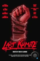 Последнее кумите / The Last Kumite (2024) BDRip