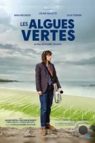 Зеленые водоросли / Les algues vertes (2023) BDRip