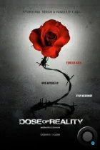 Доза реальности / Dose of Reality (2013) WEB-DL