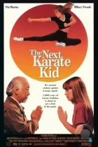 Парень-каратист 4 / The Next Karate Kid (1994) BDRip