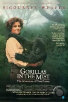 Гориллы в тумане / Gorillas in the Mist: The Story of Dian Fossey (1988) BDRip