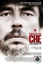 Че: Часть вторая / Che: Part Two (2008) L2 BDRip