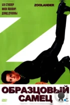 Образцовый самец / Zoolander (2001) BDRip