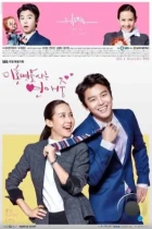 Влюбленный адвокат по разводам / Yihonbyeonhosaneun yeonaejoong (2015) HDTV