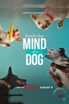 О чем думают собаки / Inside the Mind of a Dog (2024) WEB-DL