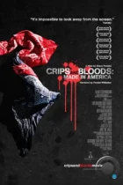 Сделано в Америке / Made in America (2008) L1 DVDRip