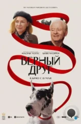 Верный друг / The Friend (2024) Верный друг / The Friend (2024)