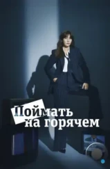 Поймать на горячем / Myeoksal hanbeon japhipsida (2024)