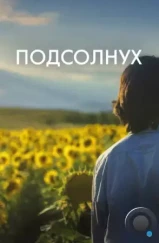 Подсолнух / Sunflower (2023)