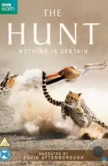 Охотники / The Hunt (2015)