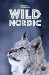 Дикая Скандинавия / Wild Nordic (2019)