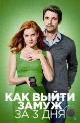 Как выйти замуж за 3 дня / Leap Year (2009)