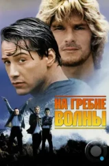 На гребне волны / Point Break (1991)