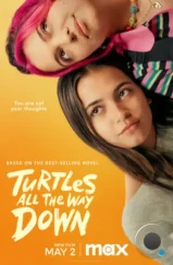 Черепахи – и нет им конца / Turtles All the Way Down (2024)