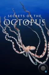 Тайны осьминога / Secrets of the Octopus (2024)