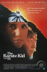 Парень-каратист 3 / The Karate Kid Part III (1989)