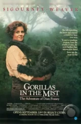 Гориллы в тумане / Gorillas in the Mist: The Story of Dian Fossey (1988)