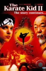 Парень-каратист 2 / The Karate Kid Part II (1986)