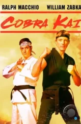 Кобра Кай / Cobra Kai (2018)