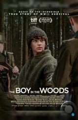 Мальчик в лесу / The Boy in the Woods (2023)