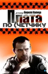 Плата по счетчику (2014)