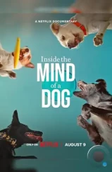 О чем думают собаки / Inside the Mind of a Dog (2024)