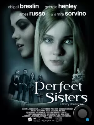 Школьный проект / Perfect Sisters (2013) L2