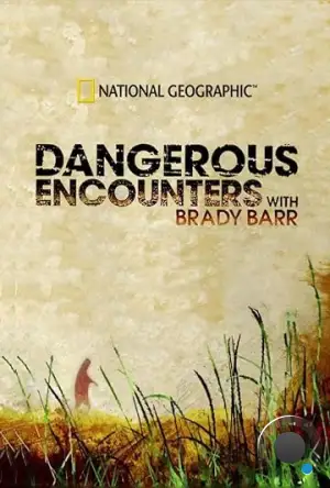 Опасные встречи / Dangerous Encounters (2005)